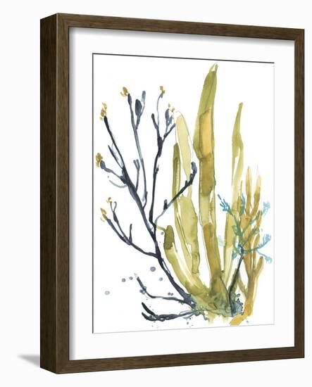 Reef Illusion I-Jennifer Goldberger-Framed Art Print