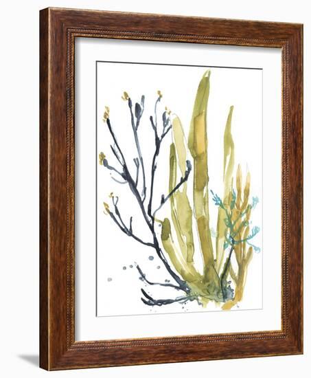 Reef Illusion I-Jennifer Goldberger-Framed Art Print