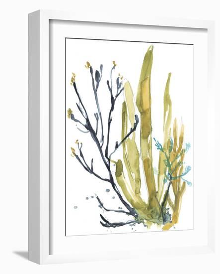 Reef Illusion I-Jennifer Goldberger-Framed Art Print