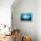 Reef manta swimming with a Remora, Indian Ocean-Alex Mustard-Framed Premier Image Canvas displayed on a wall