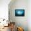 Reef manta swimming with a Remora, Indian Ocean-Alex Mustard-Framed Premier Image Canvas displayed on a wall