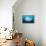 Reef manta swimming with a Remora, Indian Ocean-Alex Mustard-Framed Premier Image Canvas displayed on a wall