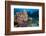 Reef Octopus (Octopus Cyanea) Portrait Near Wreck. Gubal Island, Egypt. Red Sea-Alex Mustard-Framed Photographic Print