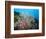 Reef Scene, Sulawesi, Indonesia, Southeast Asia, Asia-Lisa Collins-Framed Photographic Print