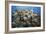 Reef Scene-Alexander Semenov-Framed Photographic Print