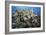 Reef Scene-Alexander Semenov-Framed Photographic Print