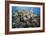 Reef Scene-Alexander Semenov-Framed Photographic Print