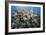 Reef Scene-Alexander Semenov-Framed Photographic Print