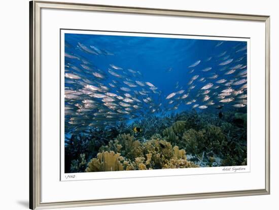 Reef Scenic 1-Jones-Shimlock-Framed Giclee Print