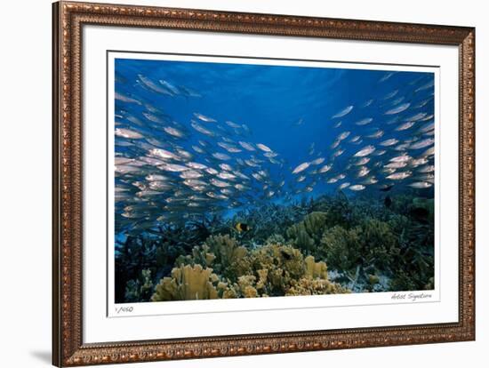 Reef Scenic 1-Jones-Shimlock-Framed Giclee Print