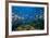 Reef Scenic 1-Jones-Shimlock-Framed Giclee Print