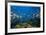 Reef Scenic 1-Jones-Shimlock-Framed Giclee Print