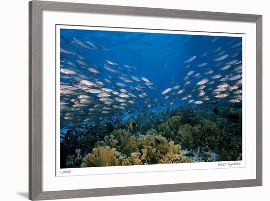 Reef Scenic 1-Jones-Shimlock-Framed Giclee Print