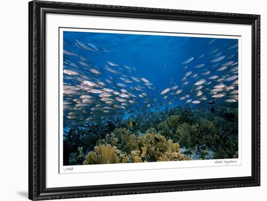 Reef Scenic 1-Jones-Shimlock-Framed Giclee Print