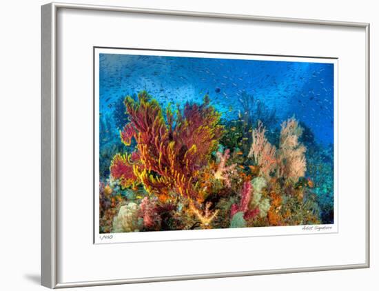 Reef Scenic 3-Jones-Shimlock-Framed Giclee Print