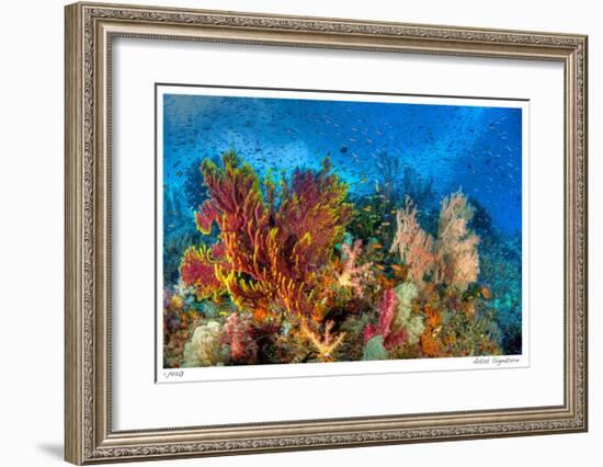 Reef Scenic 3-Jones-Shimlock-Framed Giclee Print