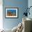 Reef Scenic 3-Jones-Shimlock-Framed Giclee Print displayed on a wall