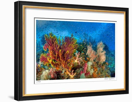 Reef Scenic 3-Jones-Shimlock-Framed Giclee Print