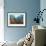 Reef Scenic 4-Jones-Shimlock-Framed Giclee Print displayed on a wall
