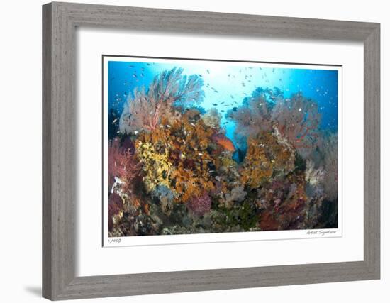 Reef Scenic 4-Jones-Shimlock-Framed Giclee Print