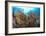 Reef Scenic 4-Jones-Shimlock-Framed Giclee Print