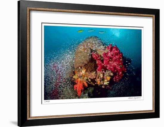 Reef Scenic 5-Jones-Shimlock-Framed Giclee Print