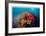 Reef Scenic 5-Jones-Shimlock-Framed Giclee Print