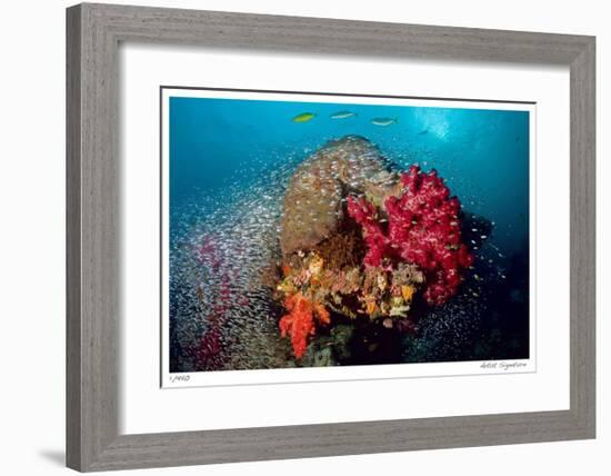 Reef Scenic 5-Jones-Shimlock-Framed Giclee Print