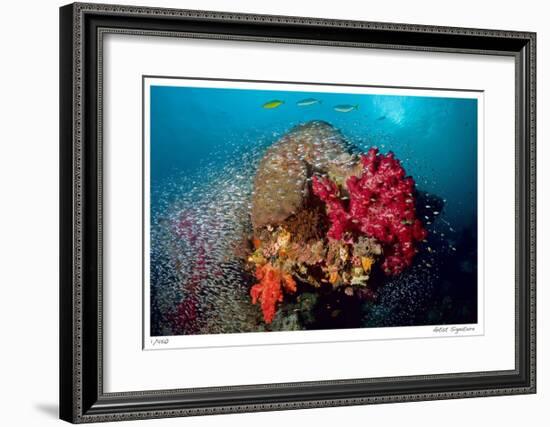 Reef Scenic 5-Jones-Shimlock-Framed Giclee Print