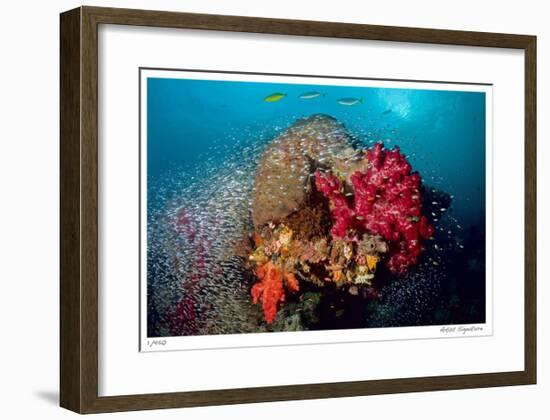 Reef Scenic 5-Jones-Shimlock-Framed Giclee Print