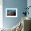 Reef Scenic 5-Jones-Shimlock-Framed Giclee Print displayed on a wall