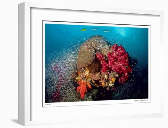 Reef Scenic 5-Jones-Shimlock-Framed Giclee Print