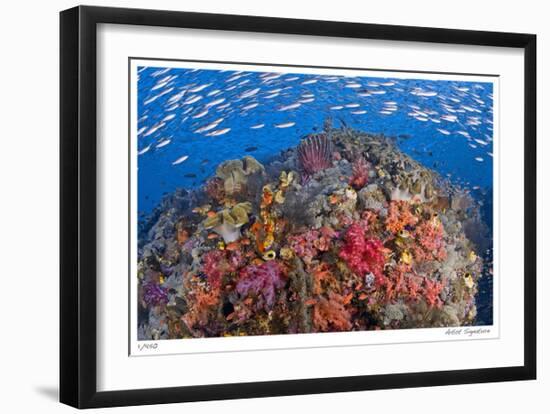 Reef Scenic 6-Jones-Shimlock-Framed Giclee Print