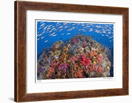 Reef Scenic 6-Jones-Shimlock-Framed Giclee Print
