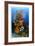 Reef Scenic 7-Jones-Shimlock-Framed Giclee Print