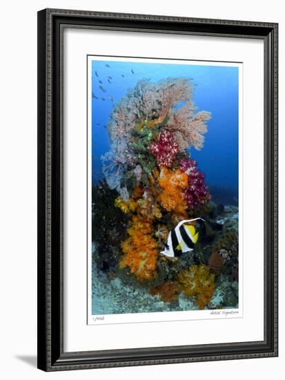 Reef Scenic 7-Jones-Shimlock-Framed Giclee Print