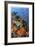 Reef Scenic 8-Jones-Shimlock-Framed Giclee Print