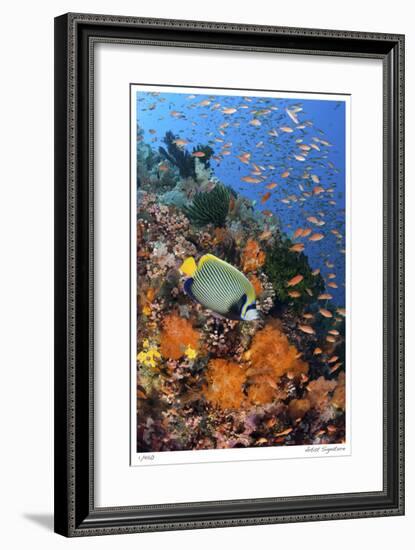 Reef Scenic 8-Jones-Shimlock-Framed Giclee Print