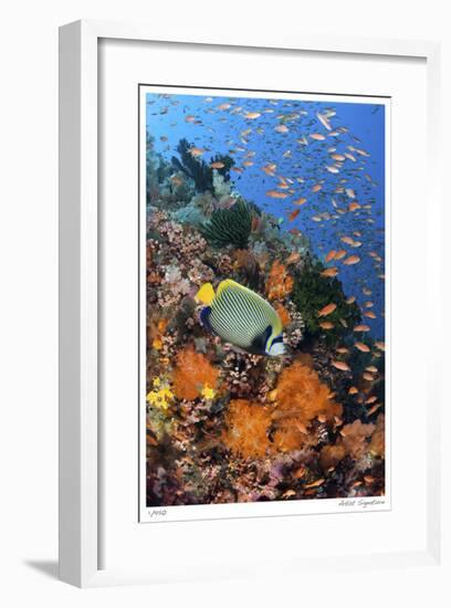 Reef Scenic 8-Jones-Shimlock-Framed Giclee Print