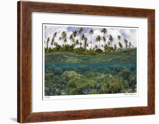 Reef Scenic Split Image-Jones-Shimlock-Framed Giclee Print