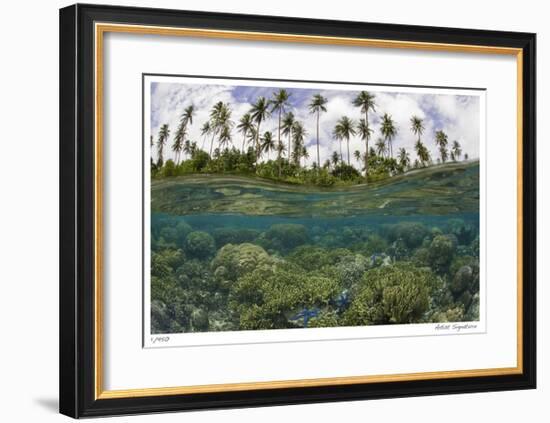 Reef Scenic Split Image-Jones-Shimlock-Framed Giclee Print