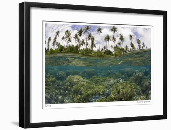 Reef Scenic Split Image-Jones-Shimlock-Framed Giclee Print