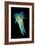 Reef Squid-Matthew Oldfield-Framed Photographic Print