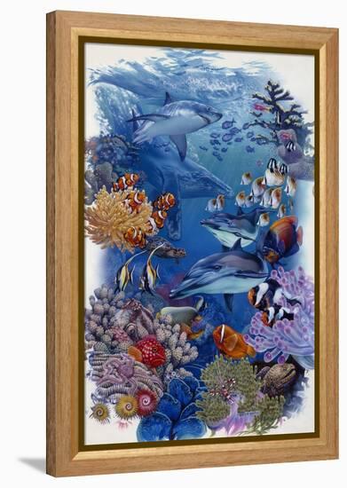 Reef-Tim Knepp-Framed Premier Image Canvas