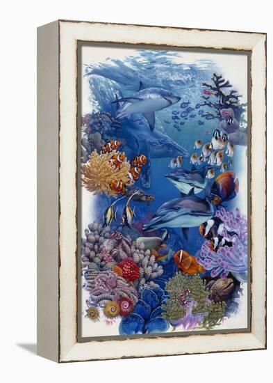 Reef-Tim Knepp-Framed Premier Image Canvas