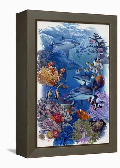 Reef-Tim Knepp-Framed Premier Image Canvas