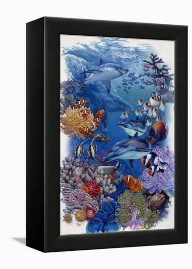 Reef-Tim Knepp-Framed Premier Image Canvas