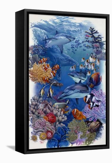 Reef-Tim Knepp-Framed Premier Image Canvas