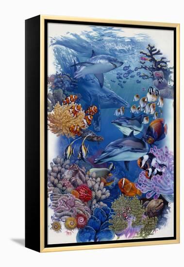 Reef-Tim Knepp-Framed Premier Image Canvas