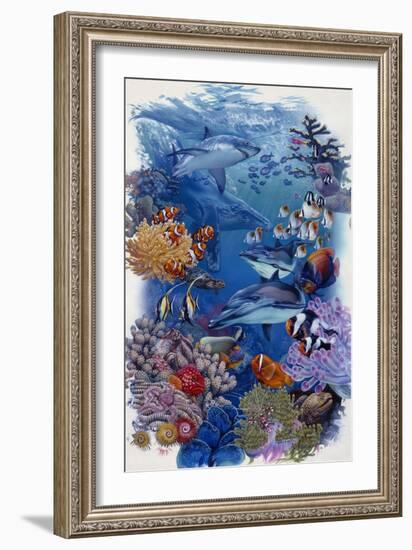 Reef-Tim Knepp-Framed Giclee Print